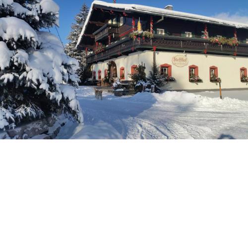 Ferienwohnung am Baby & Kinderbauerhof Stefflhof