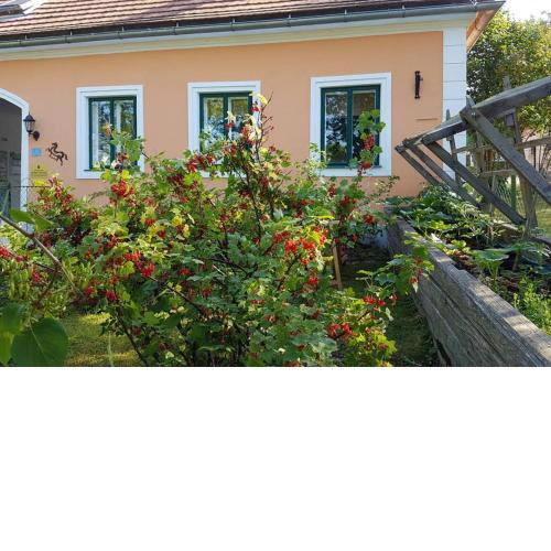 Ferienwohnung Beerengarten