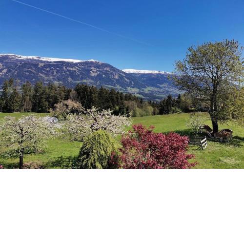 Ferienwohnung Bergblick