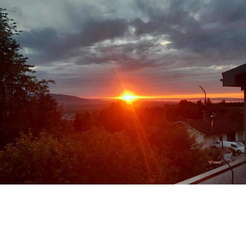 Ferienwohnung Bodenseeblick