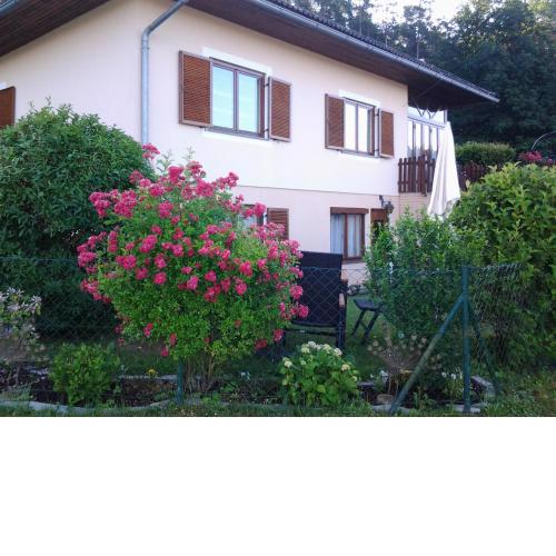 Ferienwohnung-Hajek