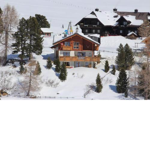 Ferienwohnung im Almhaus Seeblick am Falkert