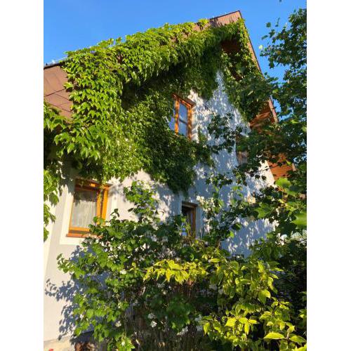 Ferienwohnung in der Thermenregion