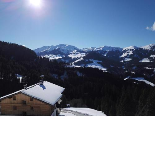 Ferienwohnung in Panorama Alleinlage Kitzbüheler AlpenWILD63 by FeWo-Plan