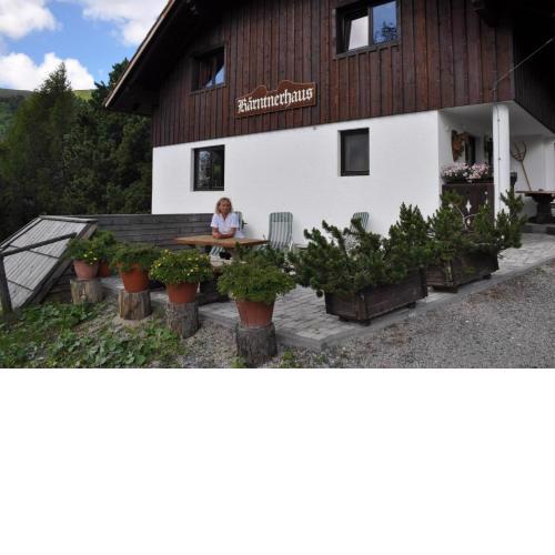 Ferienwohnung Kärntnerhaus in Falkertsee
