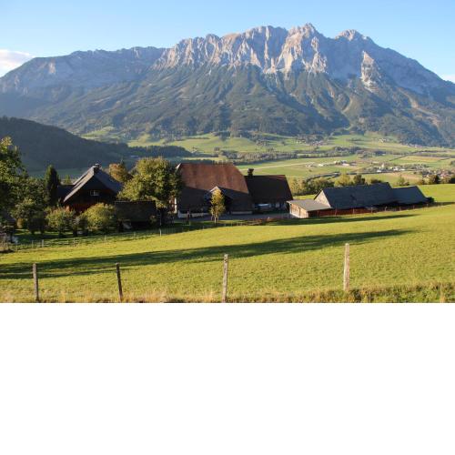 Ferienwohnung Krennbauer