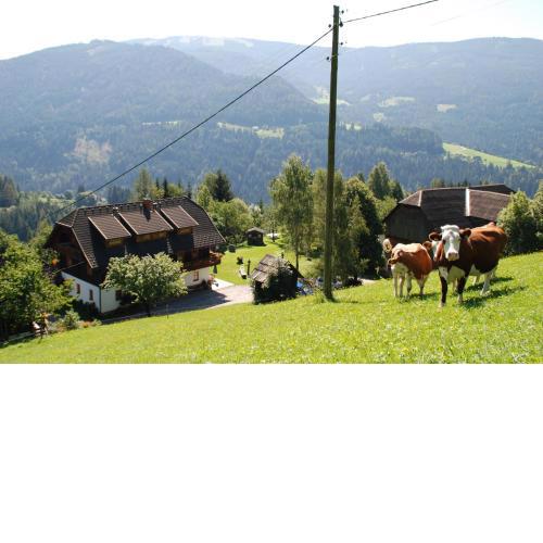Ferienwohnung Lahnerhof