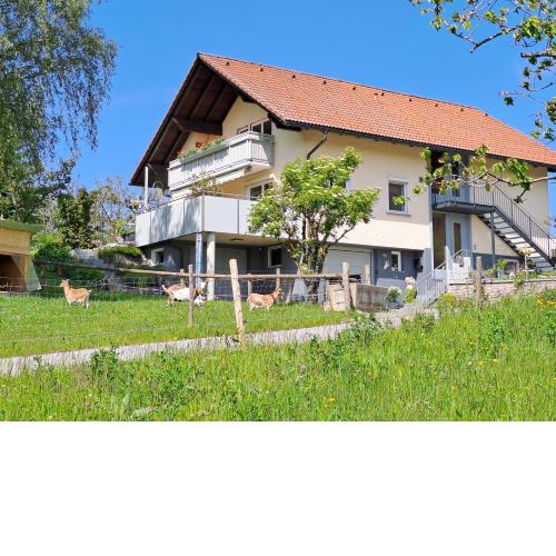 Ferienwohnung Sättlerhöhe