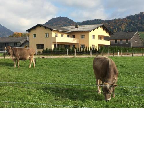Ferienwohnung Thannen