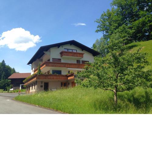 Ferienwohnung Tschagguns