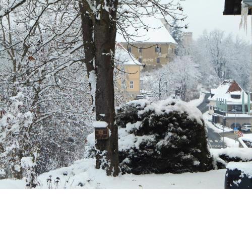 Ferienwohnungen Karin am Seggauberg - Top Lage beim Schloss Seggau nahe dem Zentrum Leibnitz
