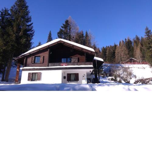 Fichtenblockhütte