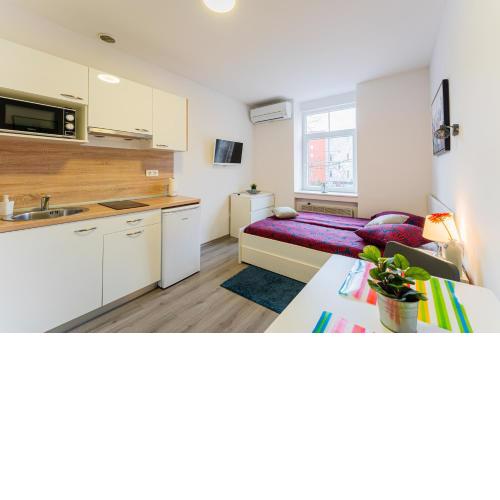 Flex SelfCheckIns 134 - Zagreb - Studio Apartment - Centre