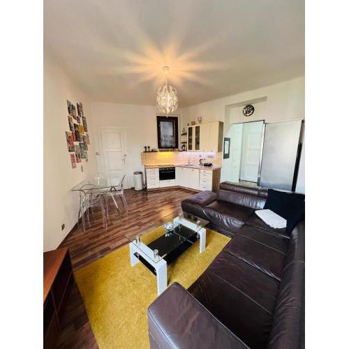 Folimanka apartment