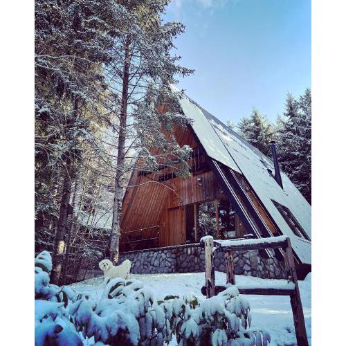 Forest House Stella - A frame cabin