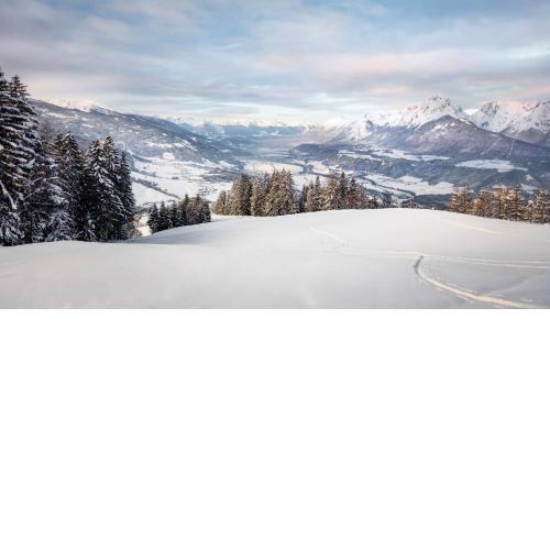 Frieden DAS Alpine Panorama Hotel