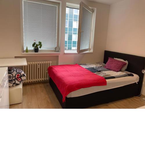 Friendly small flat for nomads