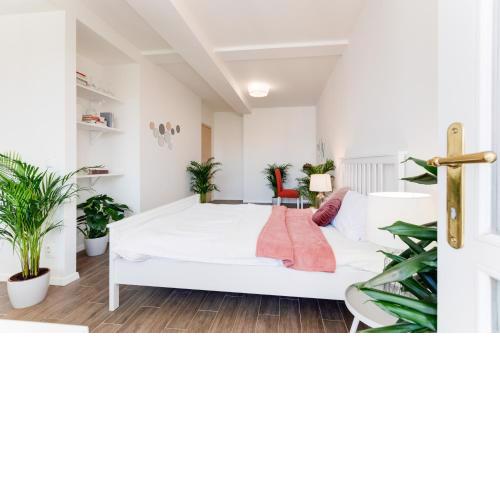 Garden apartment in the center - Leg12