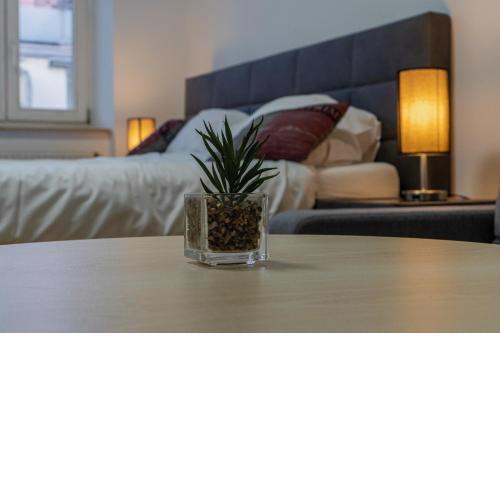 Garden-Eden Apartment