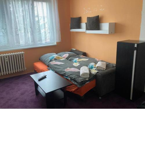 Garsoniera U lesoparku