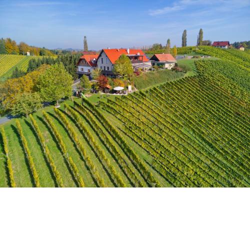 Gästehaus Dworschak