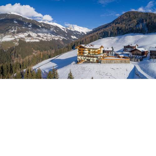 Gasthof Tannen - Alm