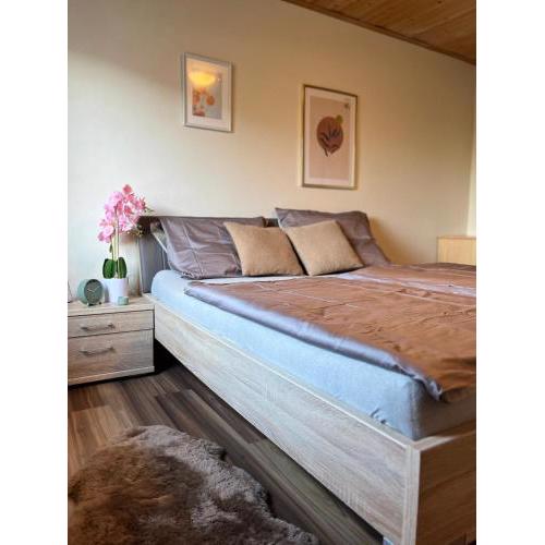 Gemütliche Wohnung/ cozy apartment Niklasdorf