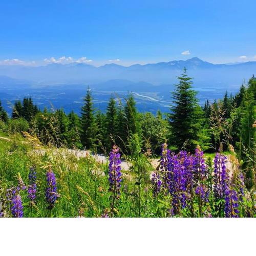 Gerlitzen Berg- und Seenurlaub
