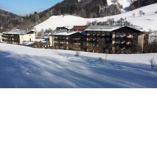 Gesundheits- & Wellnessresort Salzerbad