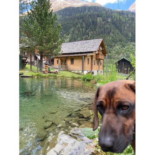 Gletscher Chalet
