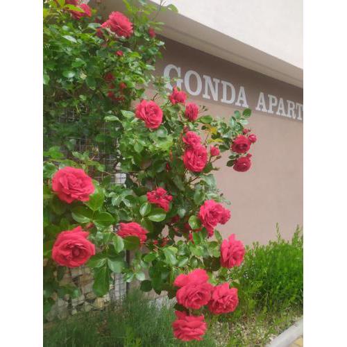 Gonda Apartments