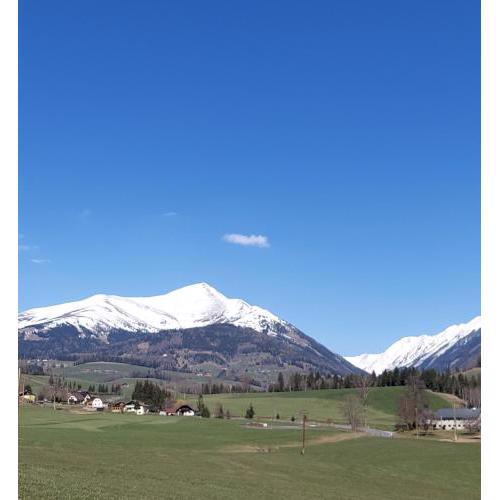 Greimblick