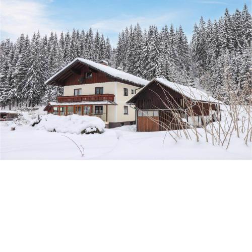 Großes Ferienhaus In Gosau