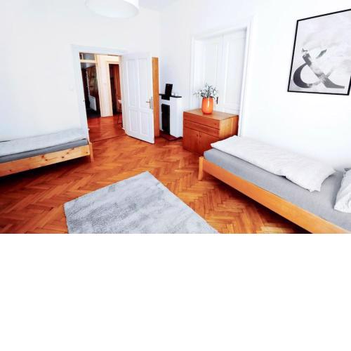 Großes, Helles Vintage Apartment mit Parkplatz