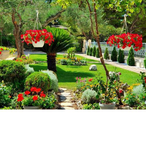 Guest House Antonia