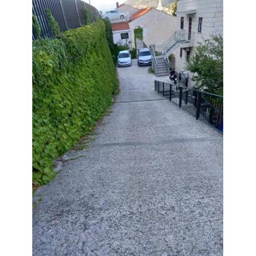Guest House Cesic