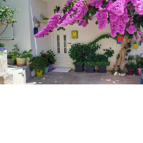 Guest House Mediterranean