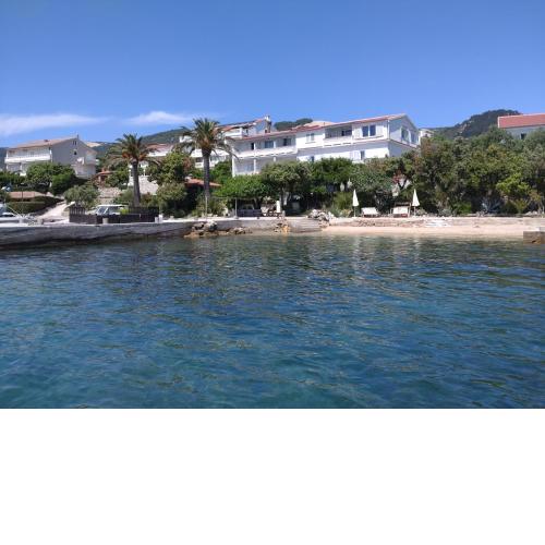 Guest House Palme