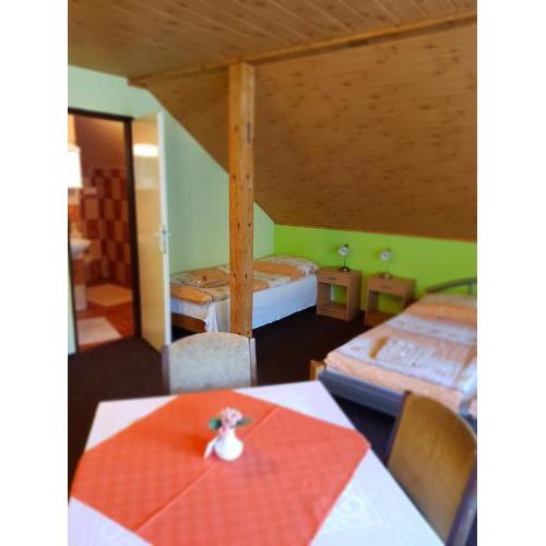 Guest House Pod Lesem Merklín