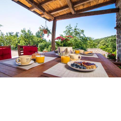 Guest house 'Villa Fani' Veprinac with jacuzzi
