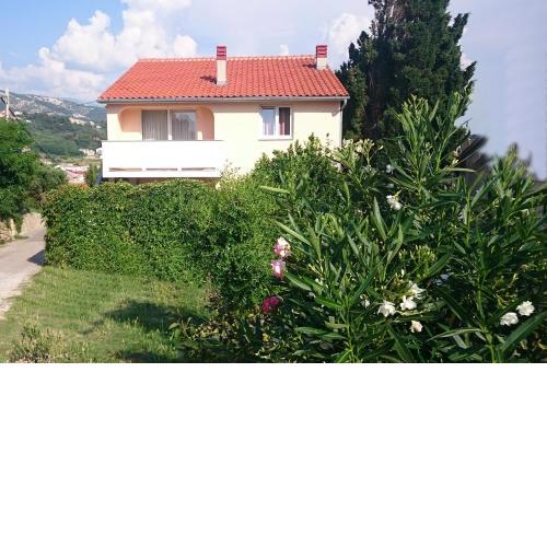 Guest House Violeta