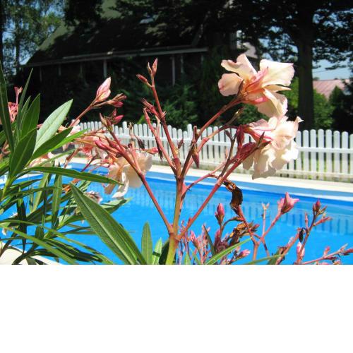 Guest House Westwood