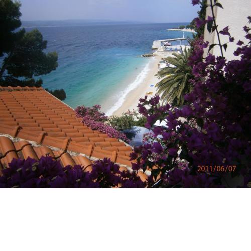Guesthouse Seaview
