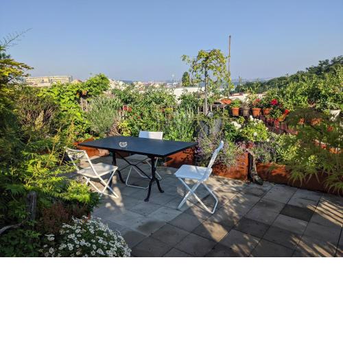 Guestrooms, rooftop with garden, spacious living room, character and fireplace