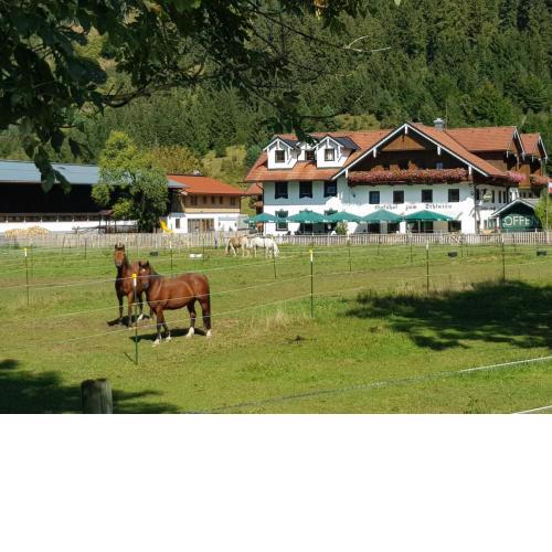 Gutshof zum Schluxen