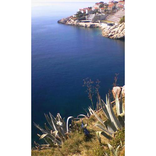 HappY DubrOvniK Centre-free parkinG