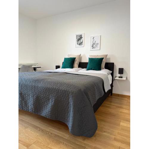 Harmony Living - 10 min to Graz