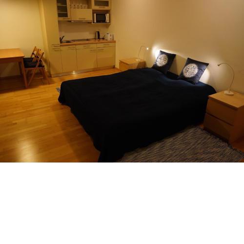 Harrachov Apartmán 206