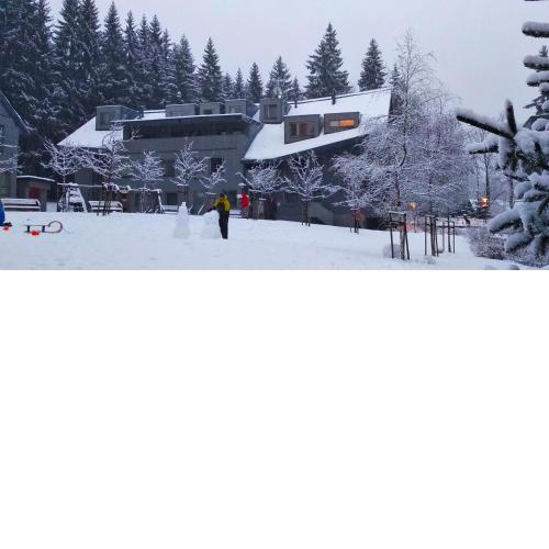 Harrachov Resident Apartments with Terrace