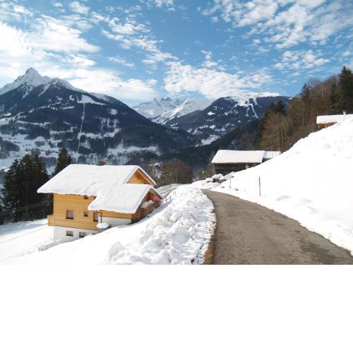 Haus grüner Wald